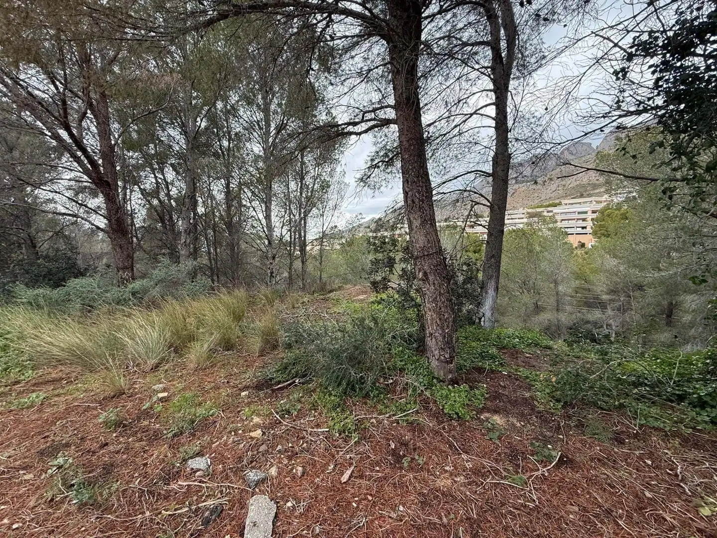 Terreny residencial en venda a Erica, imagen 13