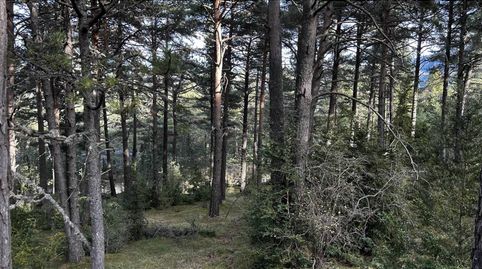 Terreno en venta en La Coma, imagen 5