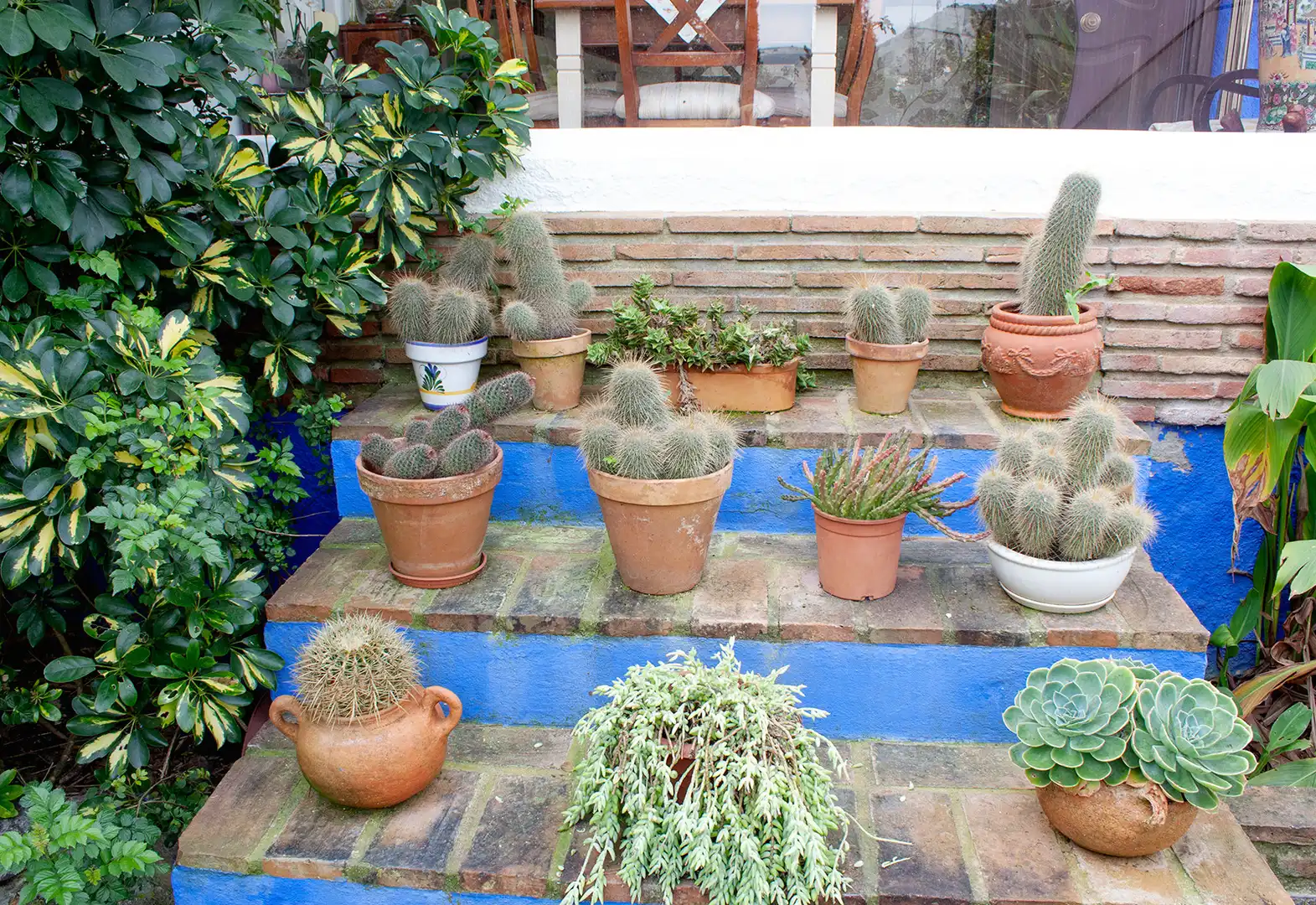 Jardí de Casa o xalet en venda en Coín amb Aire condicionat, Jardí privat i Terrassa