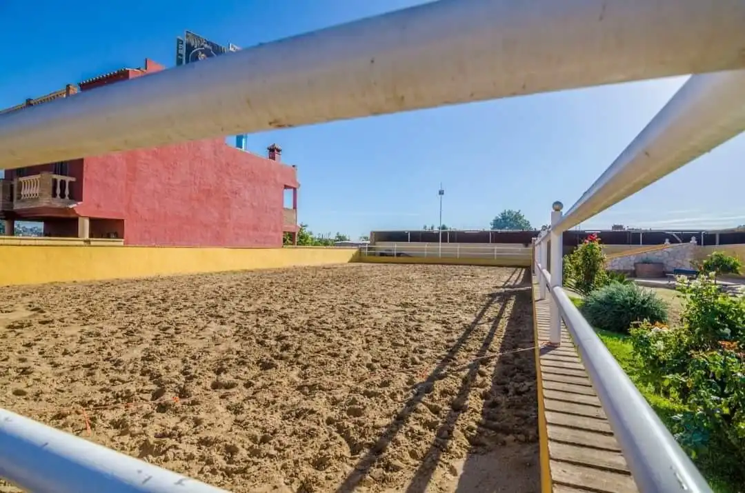 Vista exterior de Finca rústica en venta en Mijas