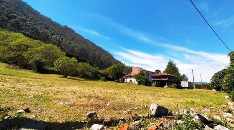 PARCELA EN PEÑAULLÀN, PRAVIA