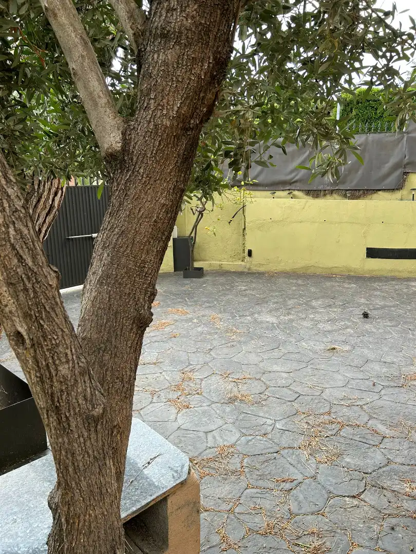 Jardín de Casa o chalet de alquiler en Sarrià - Sant Gervasi