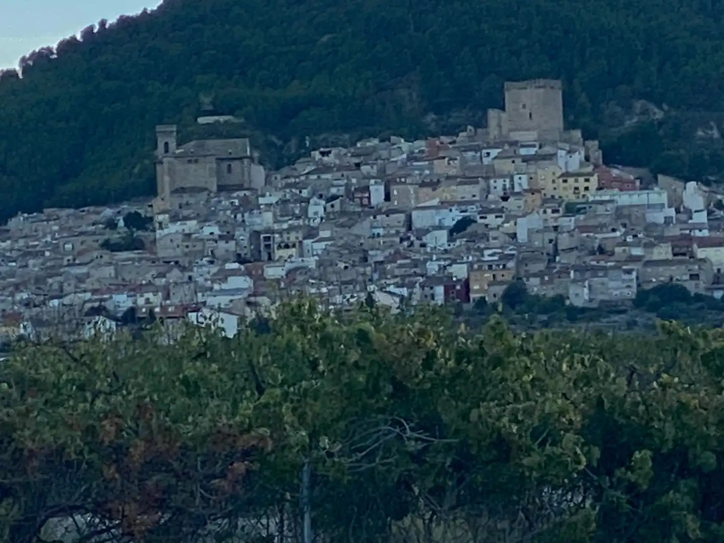 Terreno residenziale in vendita a Moratalla, imagen 19