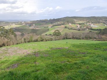 Rural land for sale in Travesía Laracha 2