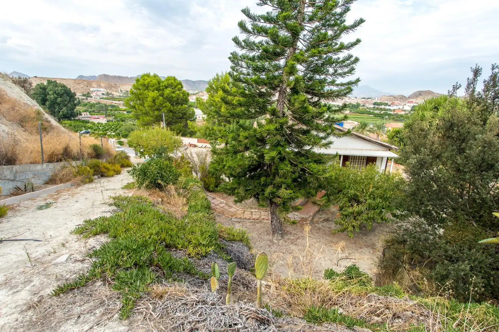 House with terrace for sale in Calle Polígono U2 el Ramel 10, imagen 48