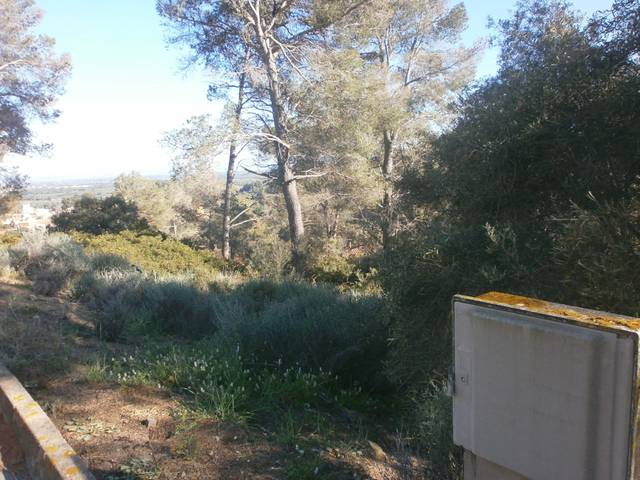 Terreno residencial en Venta en Carrer dels Escanyets, 277 en Riudecanyes
