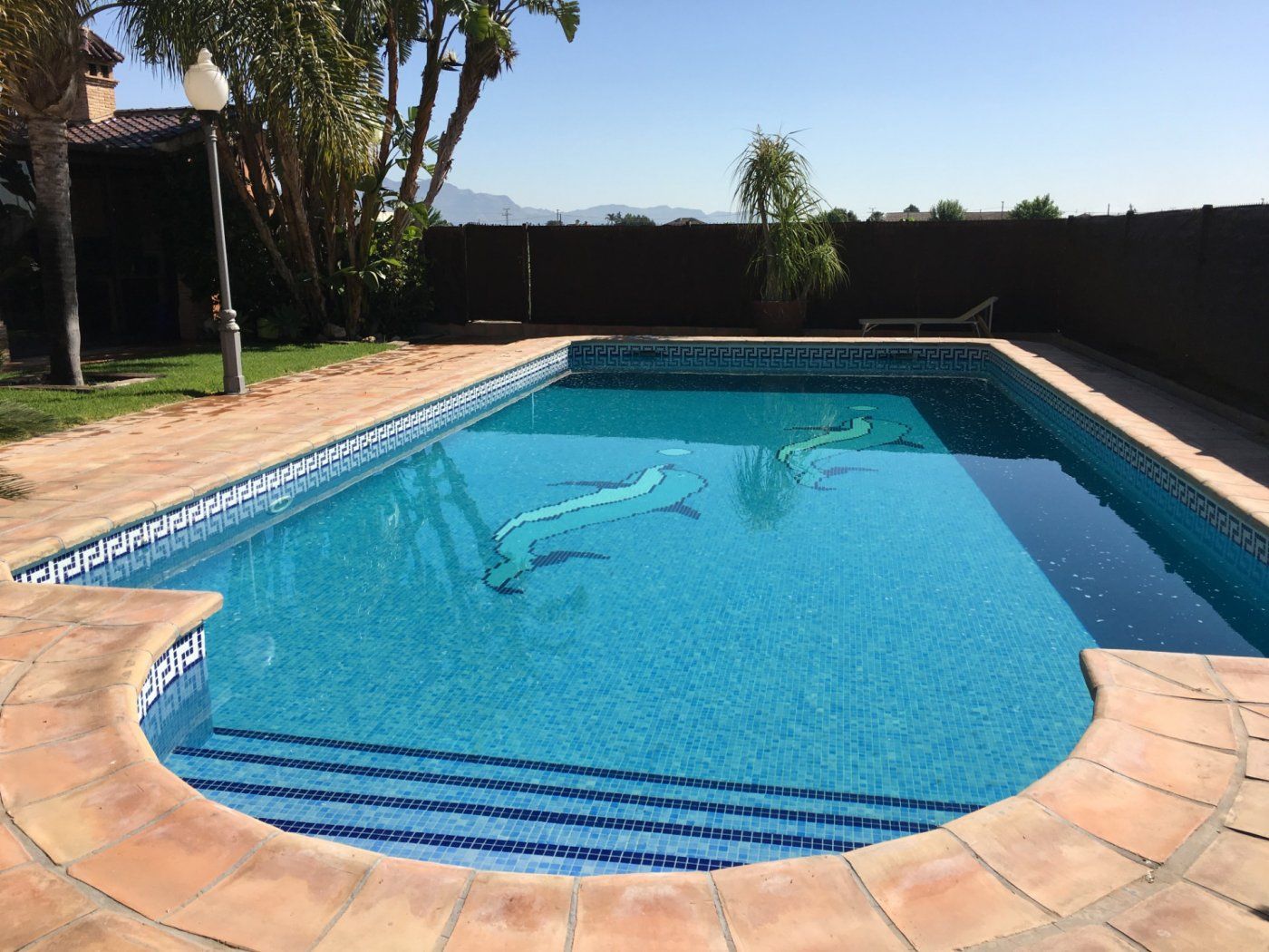 Swimming pool of House or chalet for sale in  Murcia Capital  with Air Conditioner, Heating and Private garden