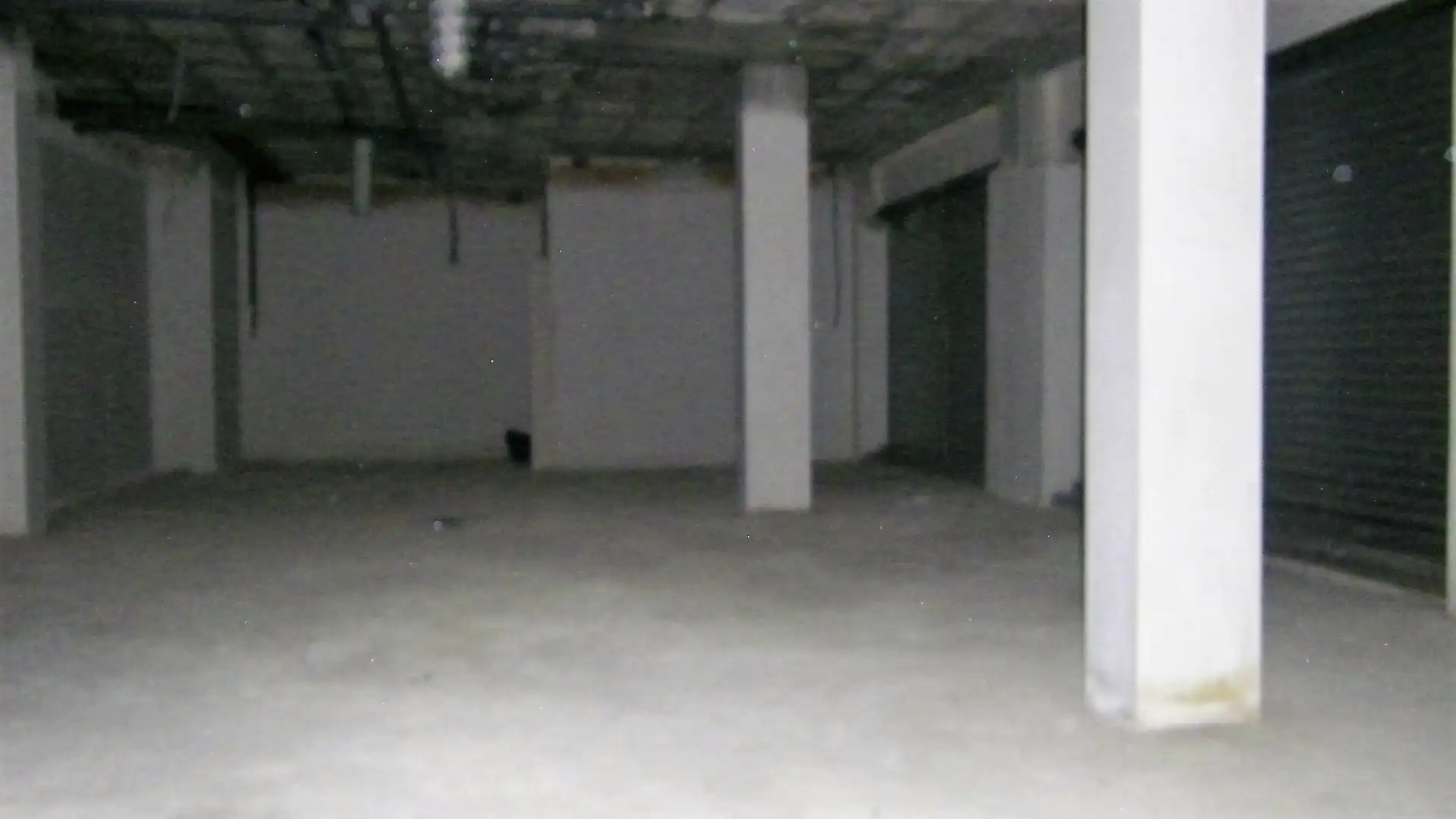 Commercial properties for rent in Elche / Elx