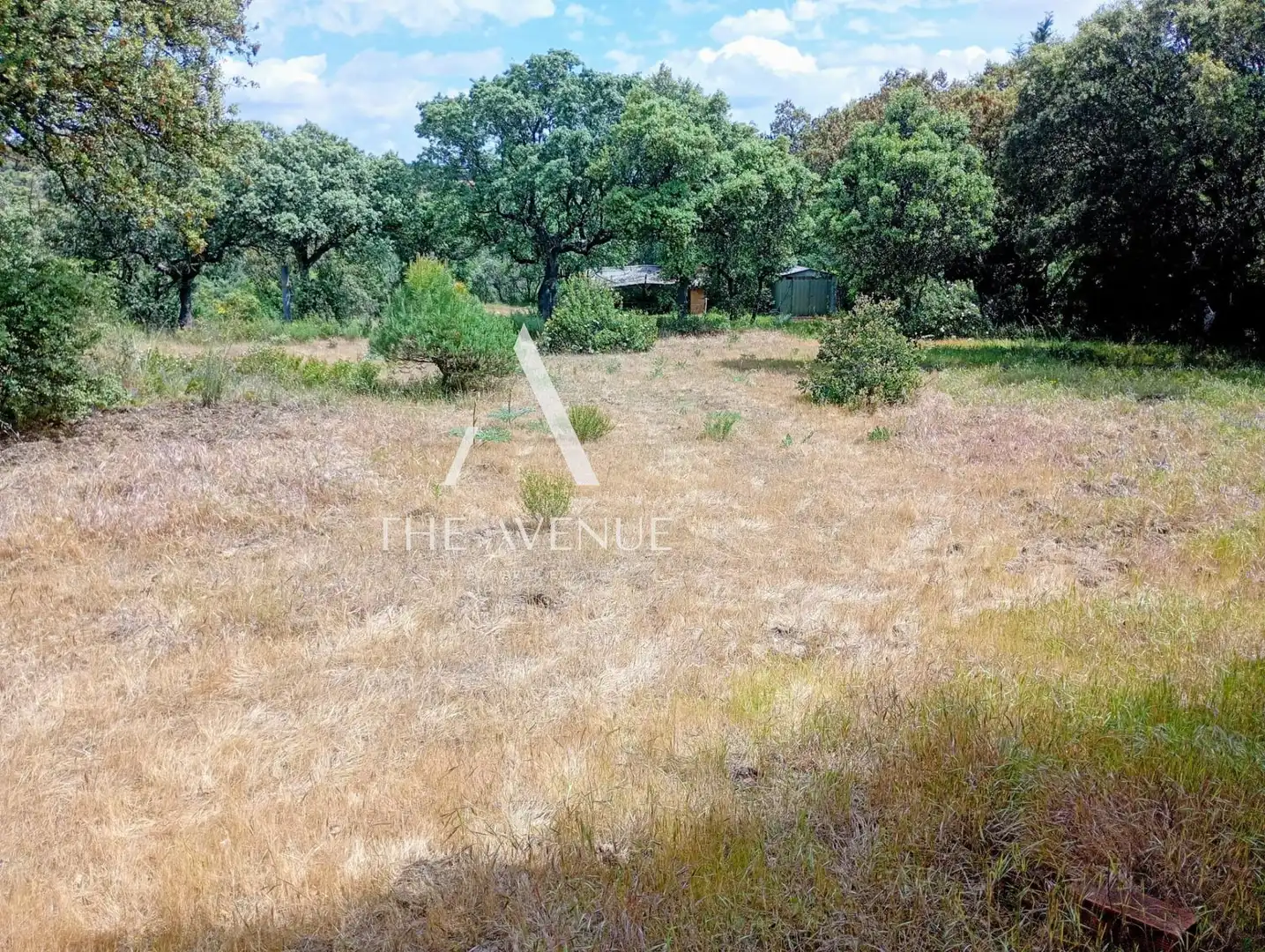 Terreno residencial en venta en Calle Enebros, imagen 6