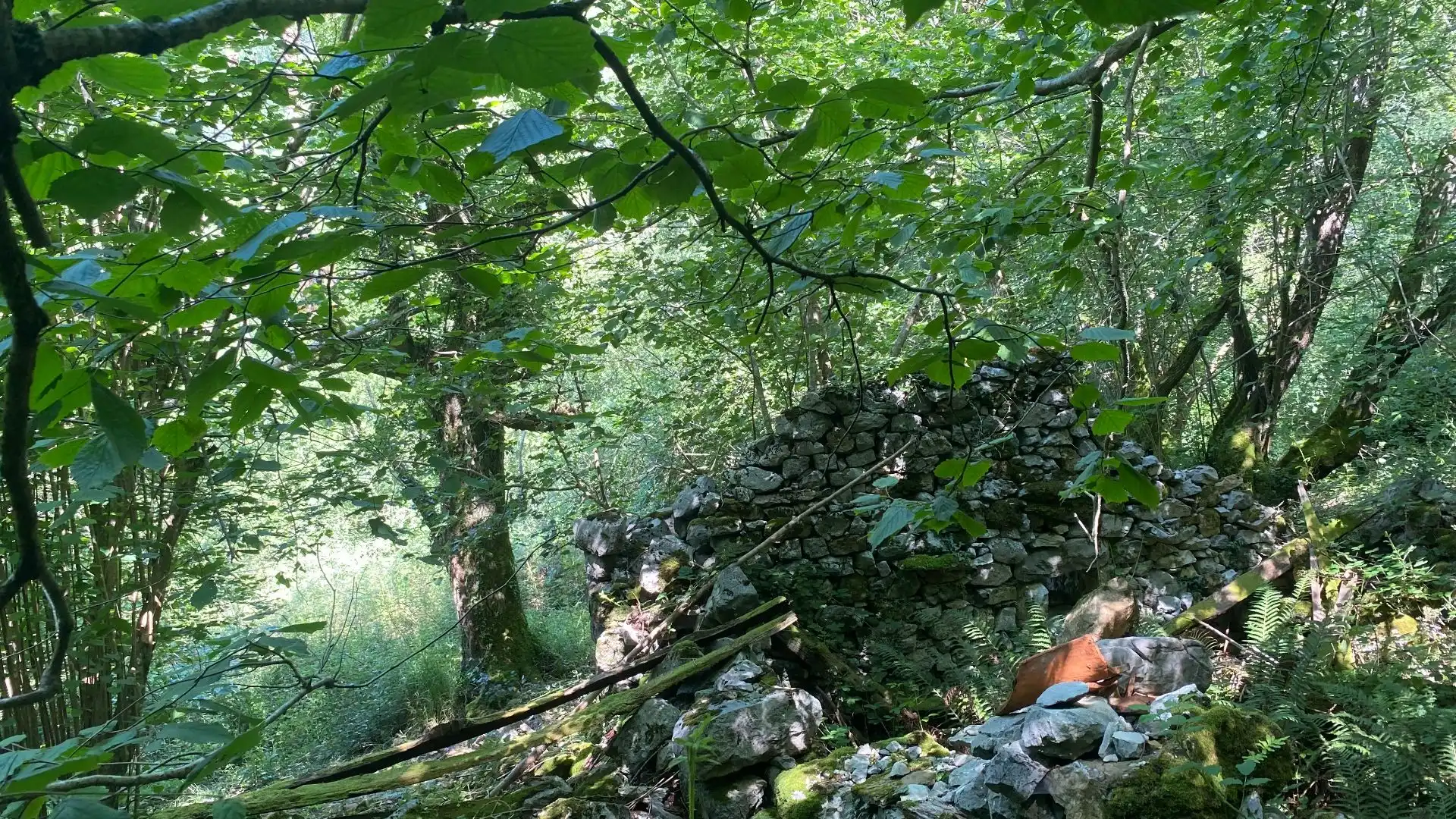Terreno rustico in vendita a SEGÜENCO, imagen 29