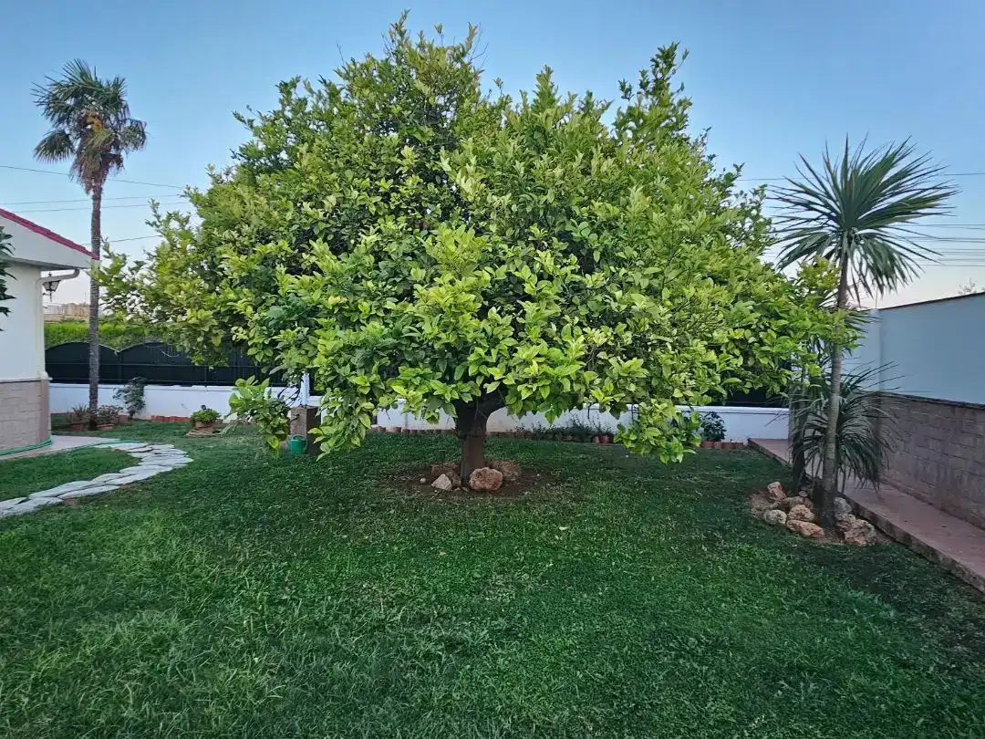 Jardí de Pis en venda en Espartinas amb Aire condicionat, Jardí privat i Piscina