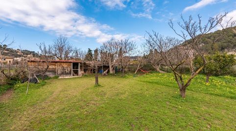 Foto 4 de Finca rústica en venda a Sóller, Illes Balears