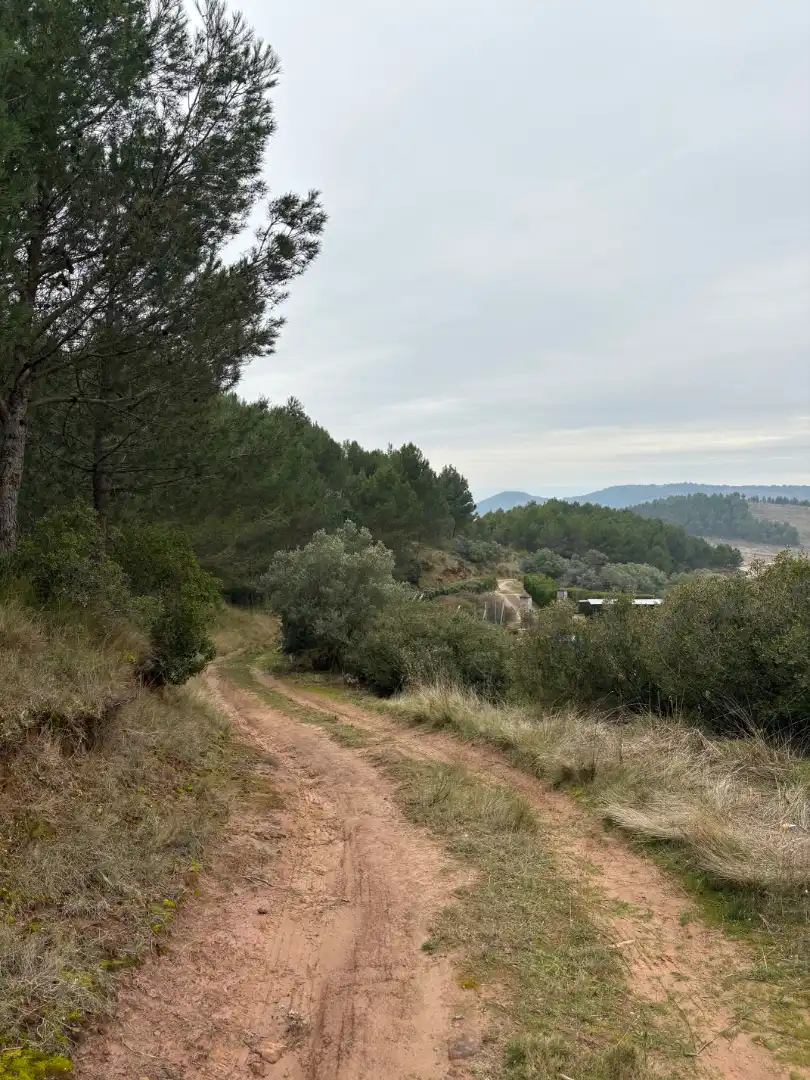 Terreno rústico en venta en Lardero, imagen 9