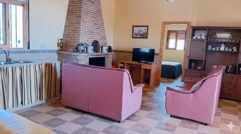 Foto 3 de Finca rústica en venda a Calle la Paz, 55, Albondón, Granada