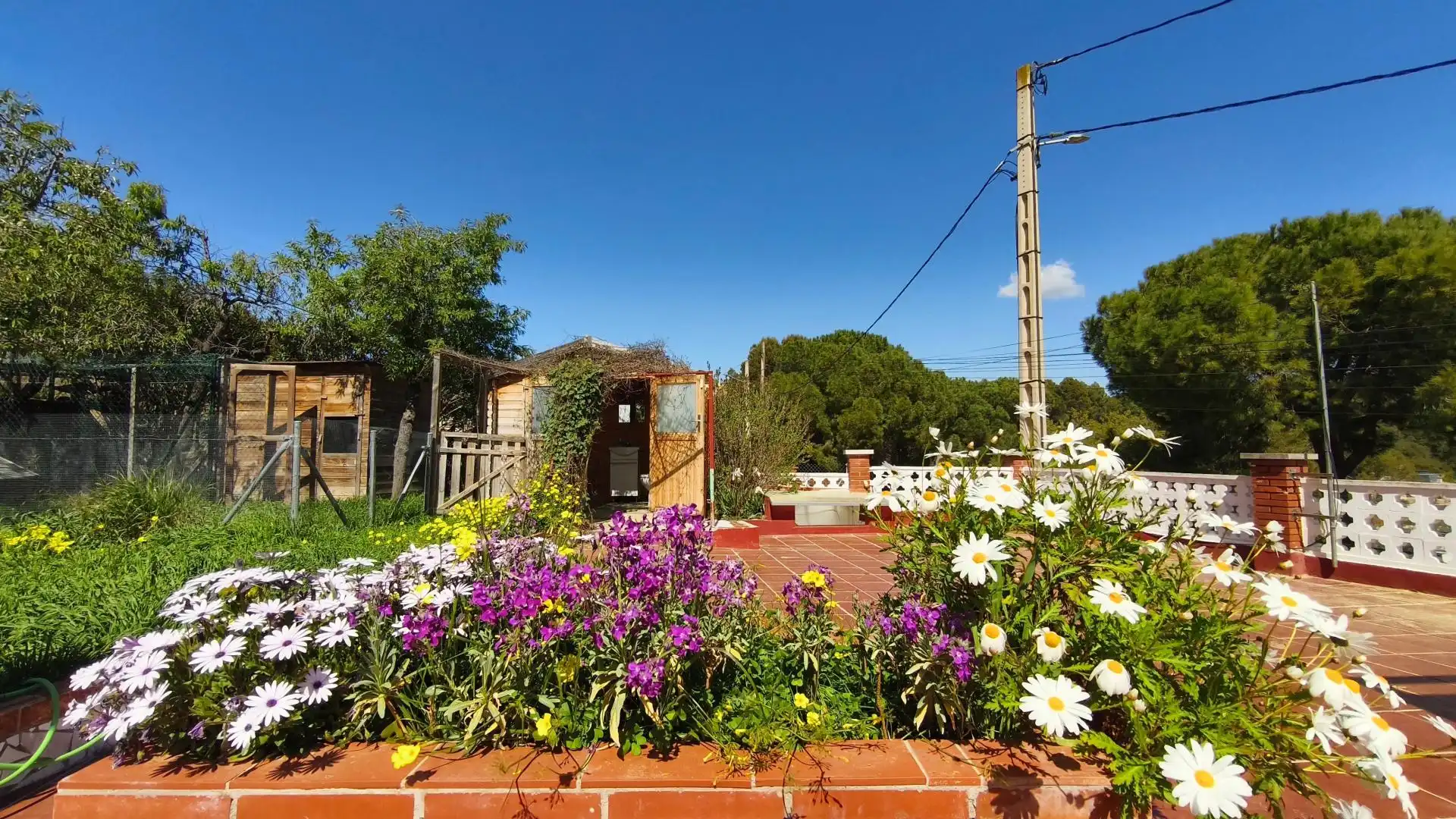 Jardí de Casa o xalet en venda en Olesa de Montserrat amb Aire condicionat, Terrassa i Piscina