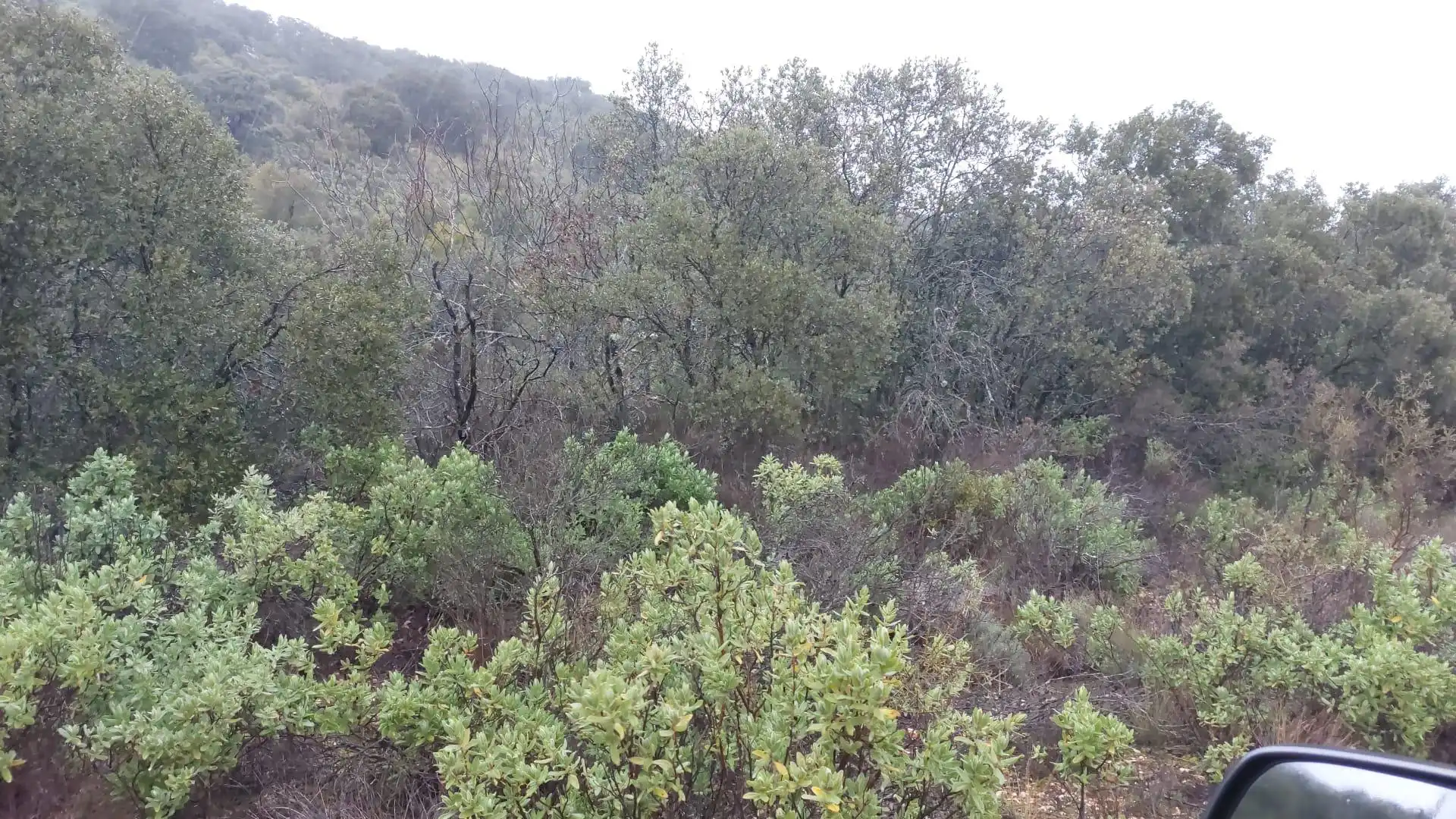 Grundstücke zur Miete in Loranca de Tajuña