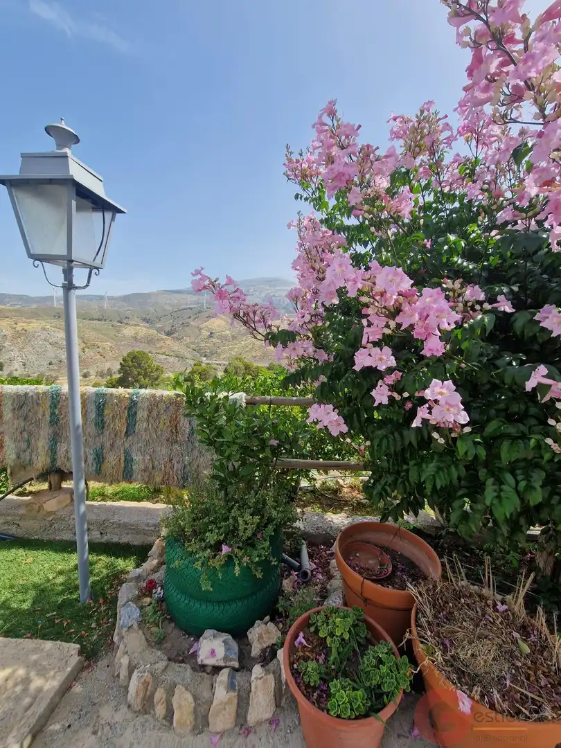 Garten von Country house zum Verkauf in El Pinar mit Terrasse und Schwimmbad