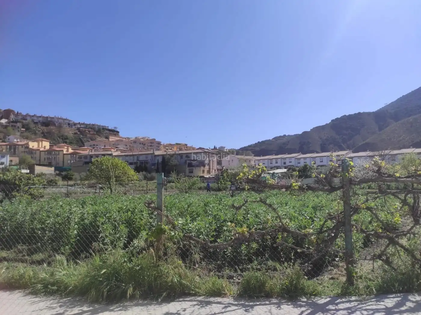 Terreni e lotti in vendita a Camino de las Fuentezuelas 8, imagen 4