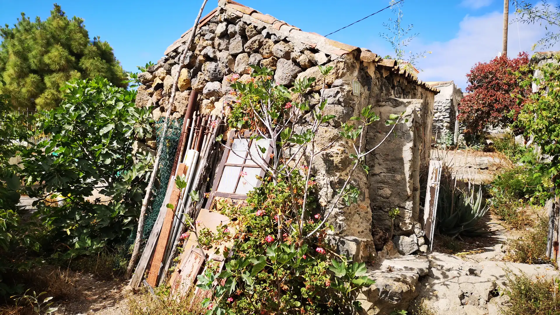 Vista exterior de Casa o chalet en venta en Icod de los Vinos