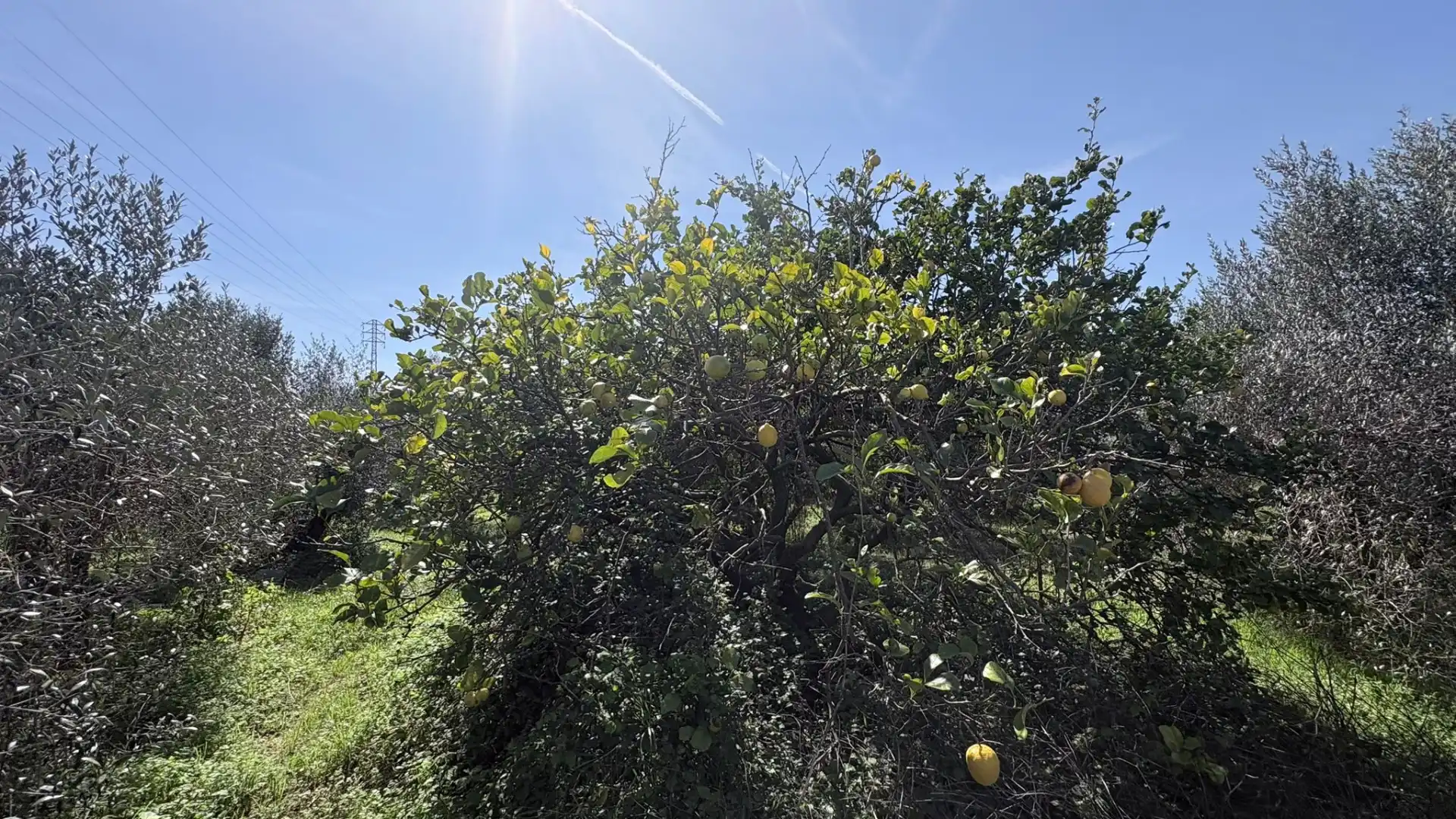 Land for sale in Vilanova i la Geltrú