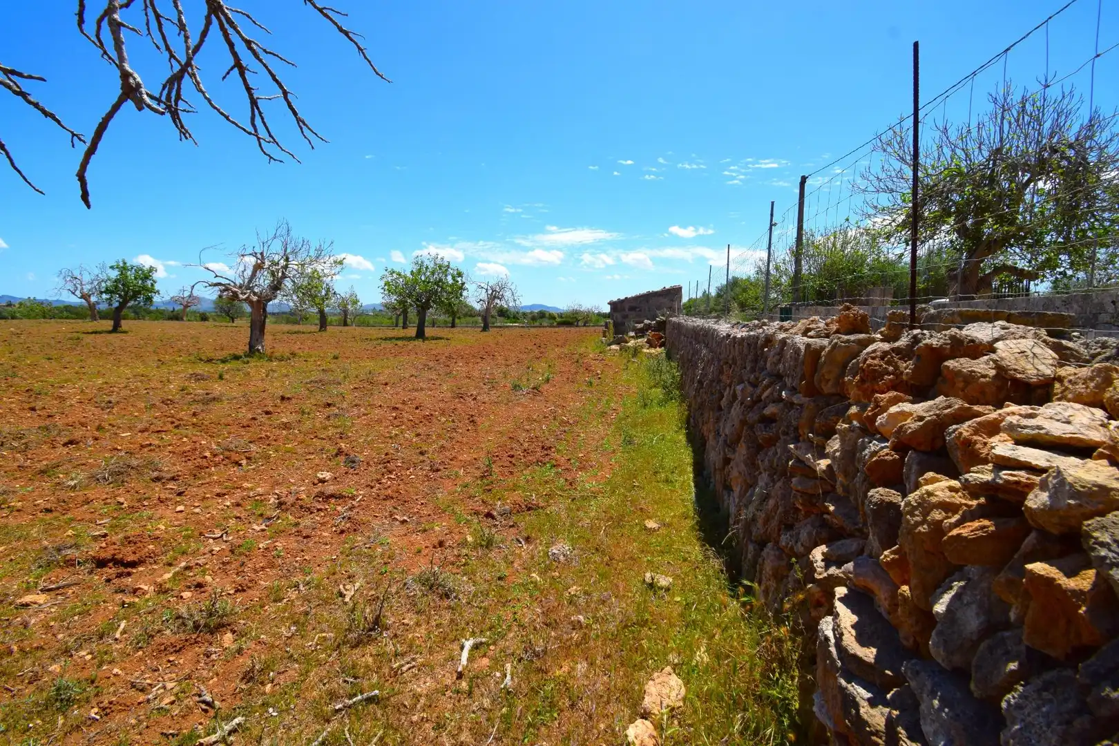 Residential land for sale in Santa Margalida Poble, imagen 28