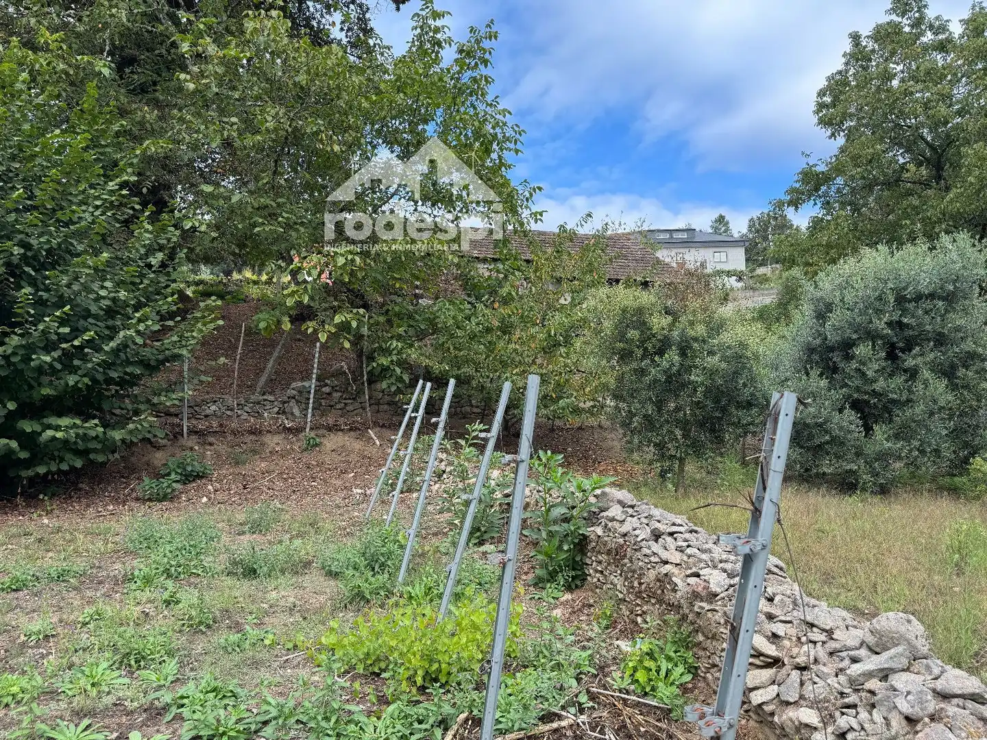 Others for sale in Cortegada, imagen 25