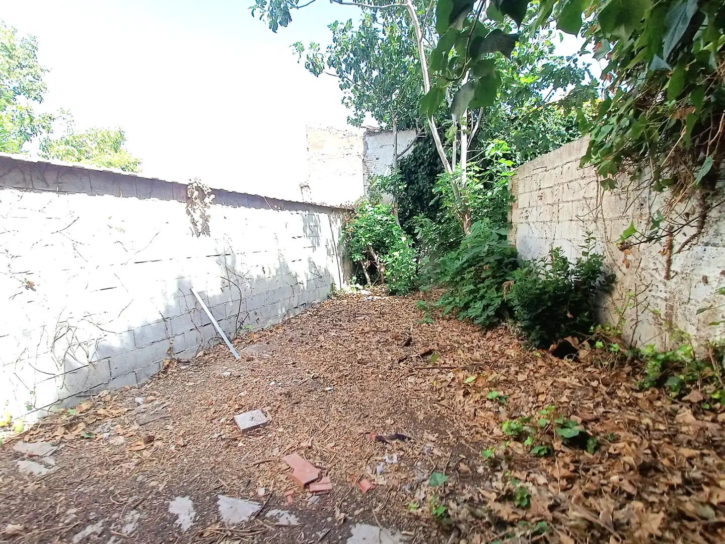 Casa en venda a Calle Morera, imagen 2