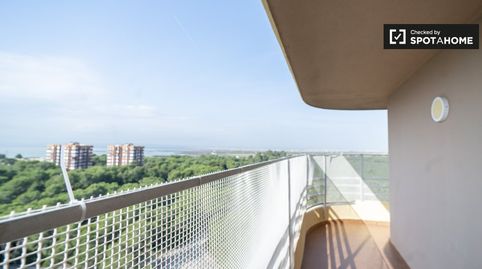 Foto 5 de Habitació a El Saler, Valencia Capital