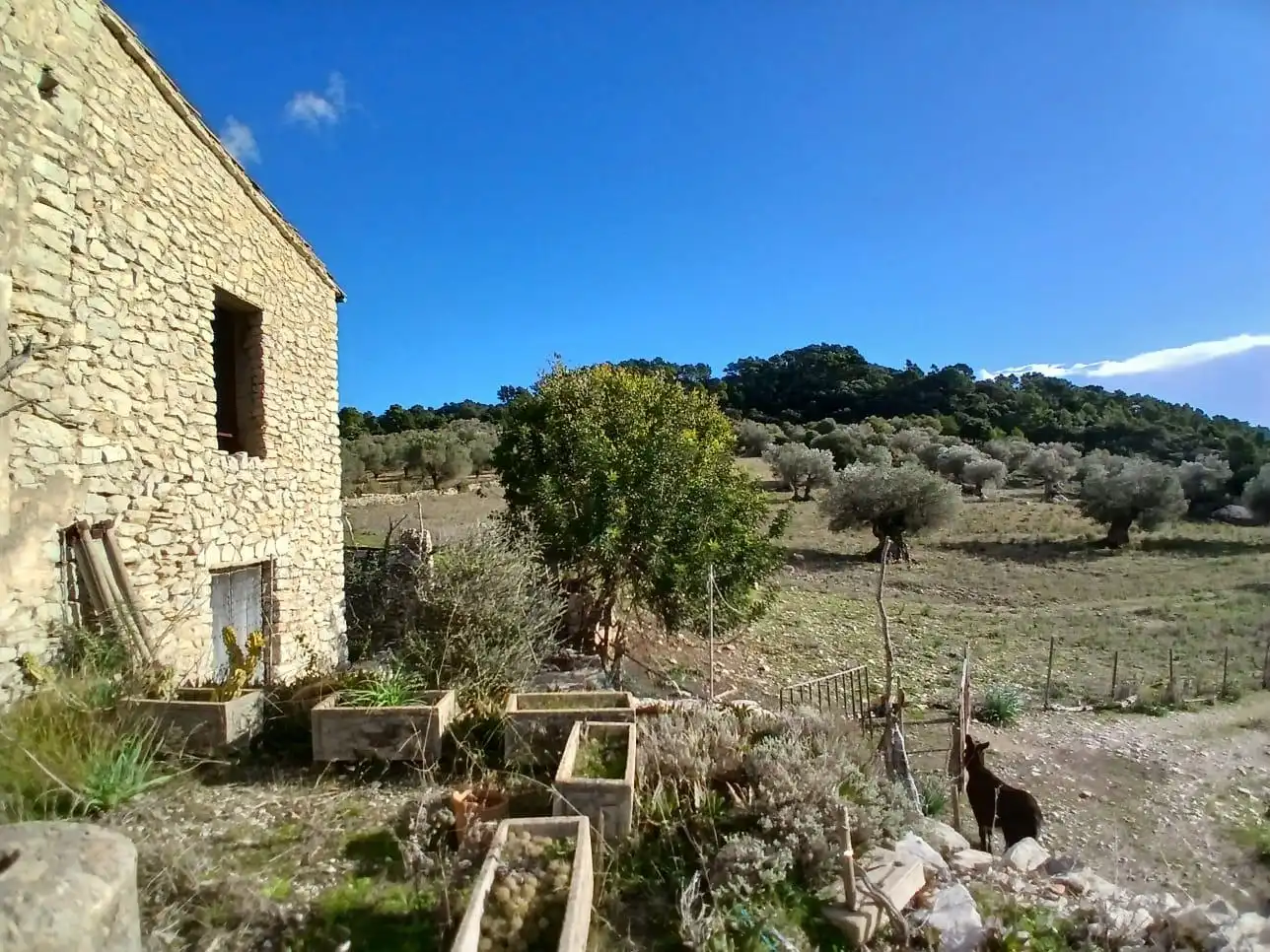 Finca rústica en venta en Mancor de la Vall