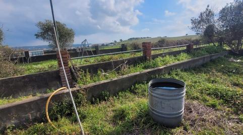 Foto 5 de Finca rústica en venda a Autovía Los Barrios, 8, Los Barrios, Cádiz