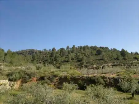 Terrain rustique à vendre à Ptda Viña Vieja, imagen 8