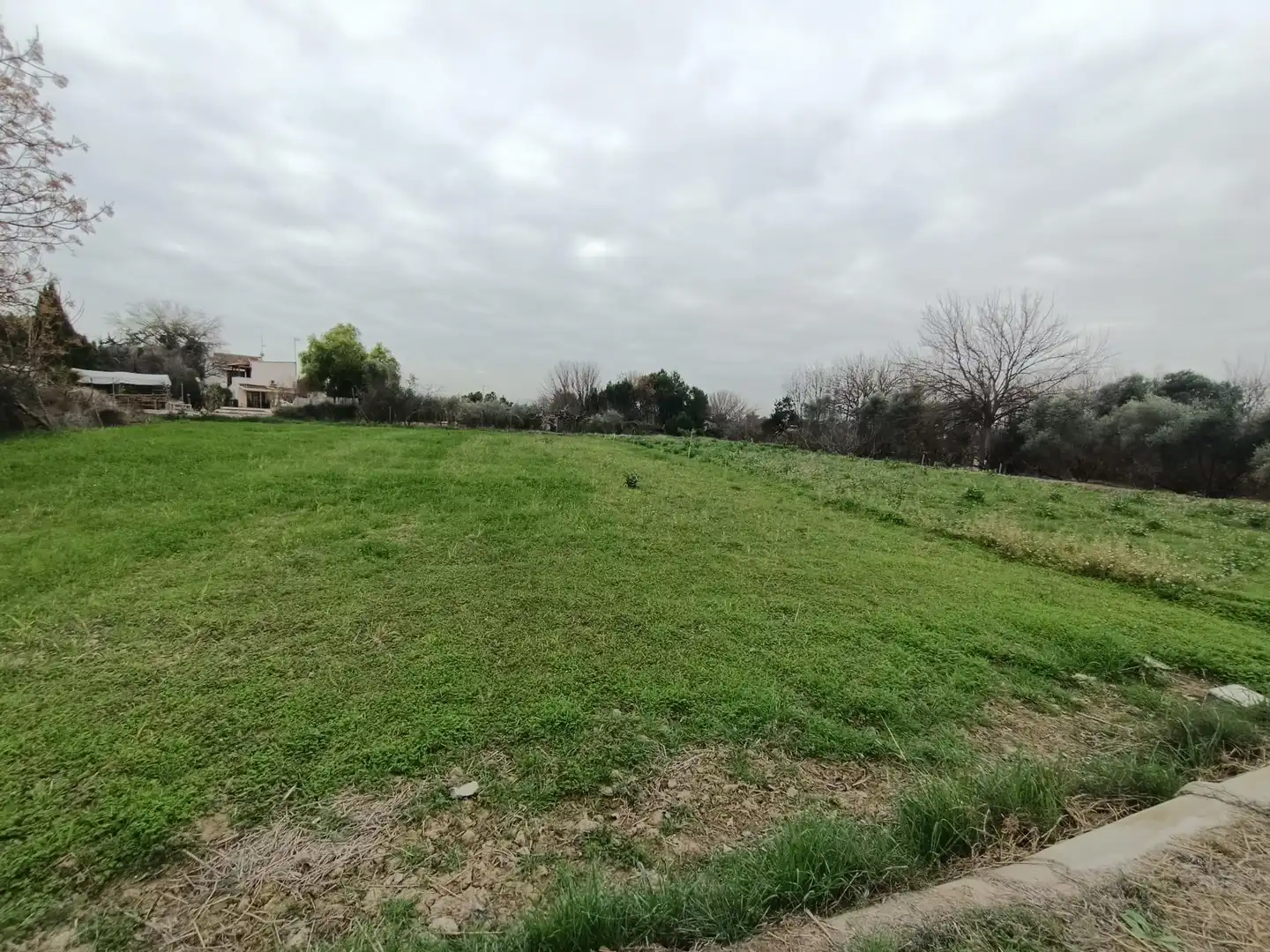 Terreny residencial en venda a Alguazas