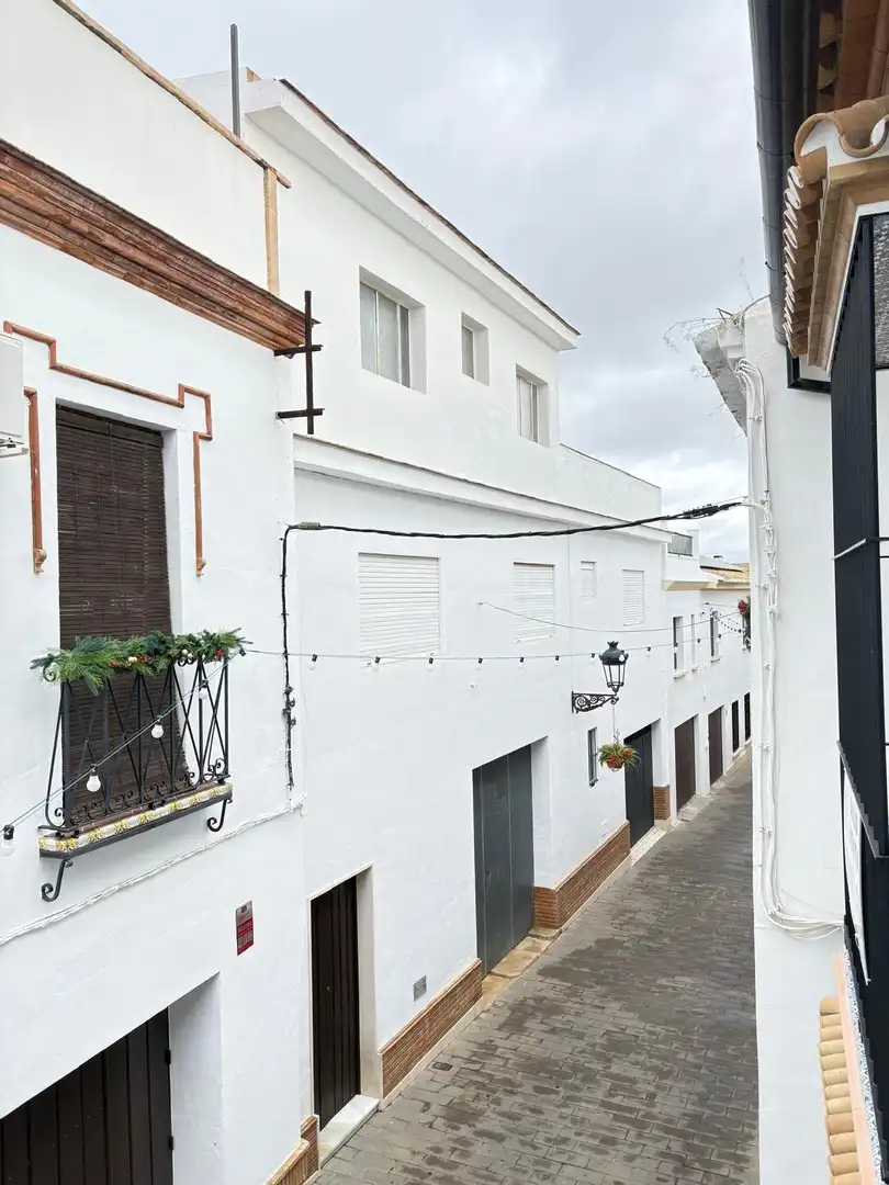Casa amb terrassa en venda a Calle PADRE PEDRO MARIA AYALA, imagen 65