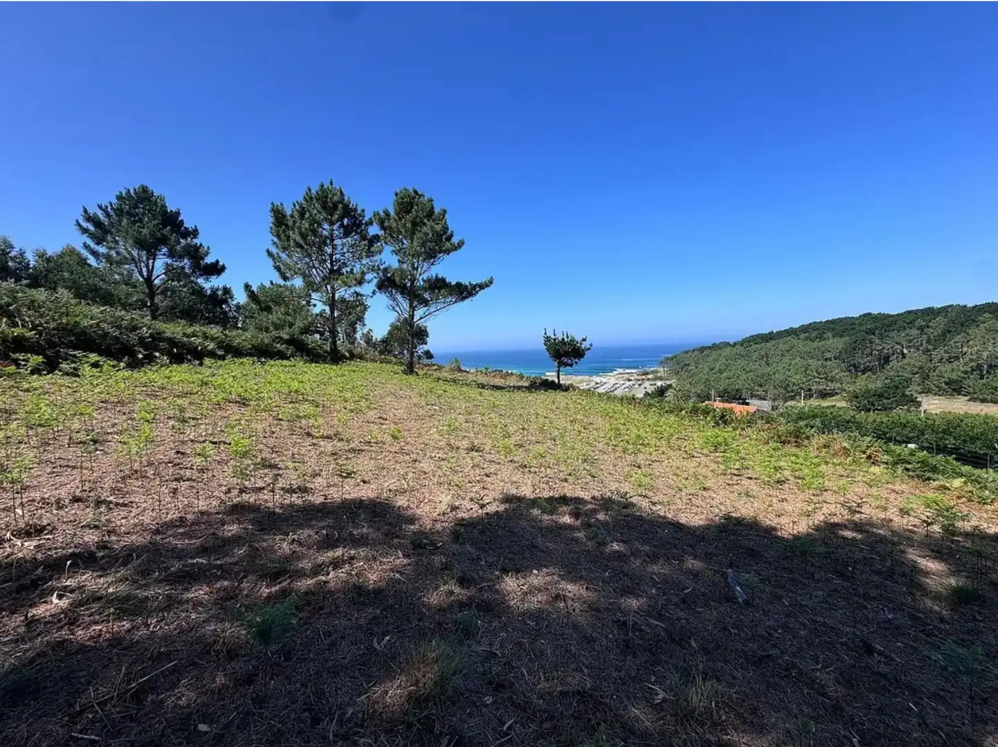 Terreni e lotti in vendita a Área Rural, imagen 13