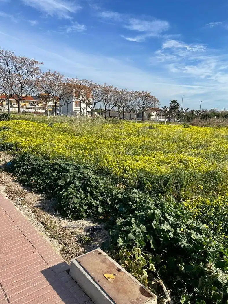 Residential land for sale in Carrer Corts Valencianes de L 17, imagen 3