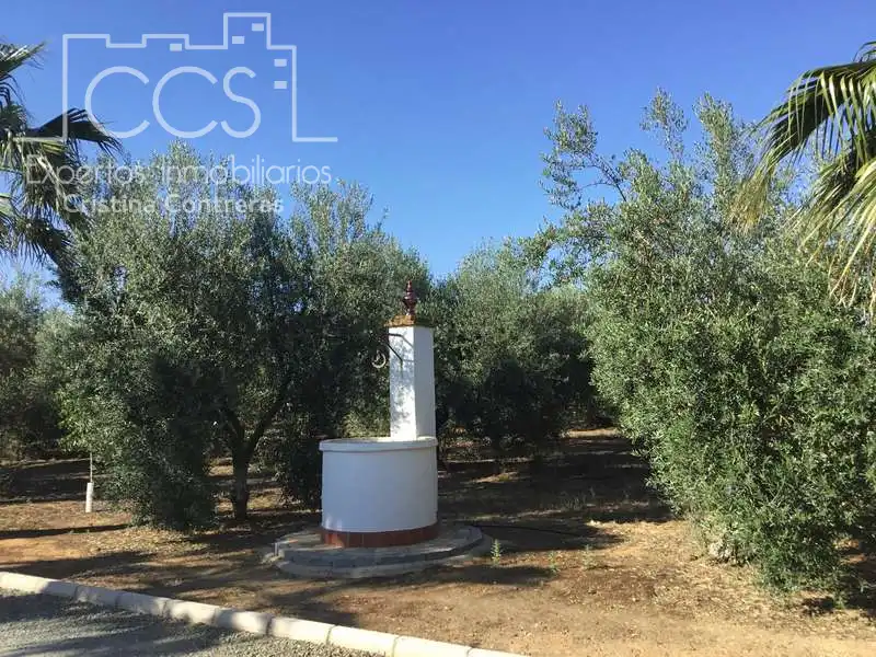 Casa rústica amb piscina en venda a Pilas, imagen 19