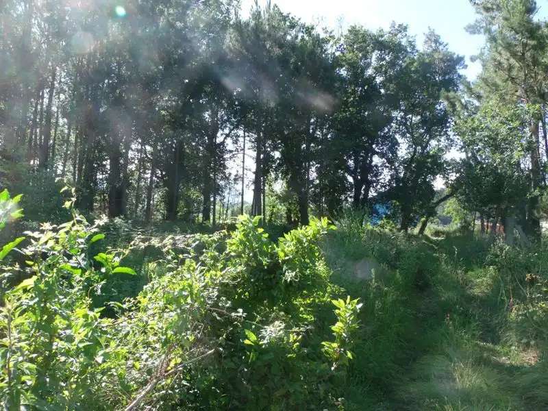 Wohnbaugrundstück zum Verkauf in Boiro, imagen 4