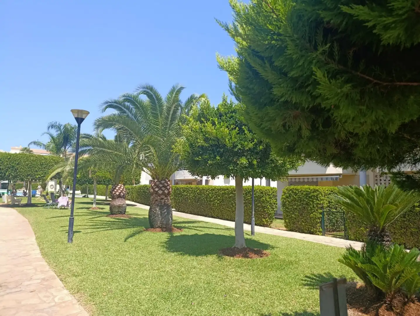Appartement compact avec piscine à vendre à Las Marinas / Les Marines, imagen 2