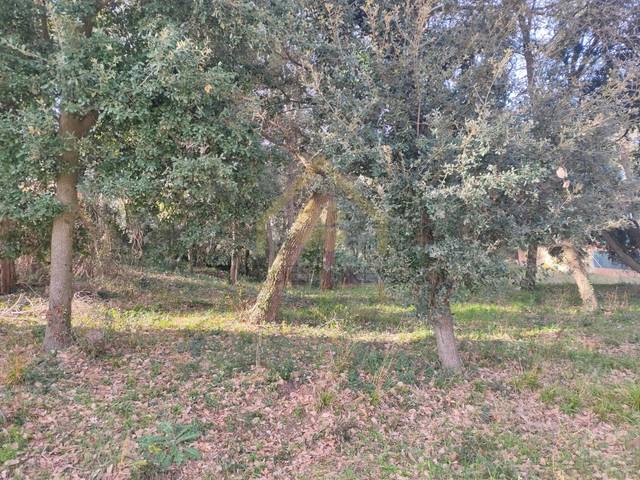 Terreno residencial en Alquiler en Calle Alacant en Sant Pere de Vilamajor