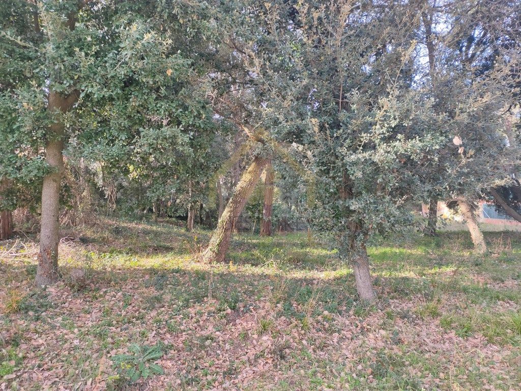 Residencial de lloguer en Sant Pere de Vilamajor