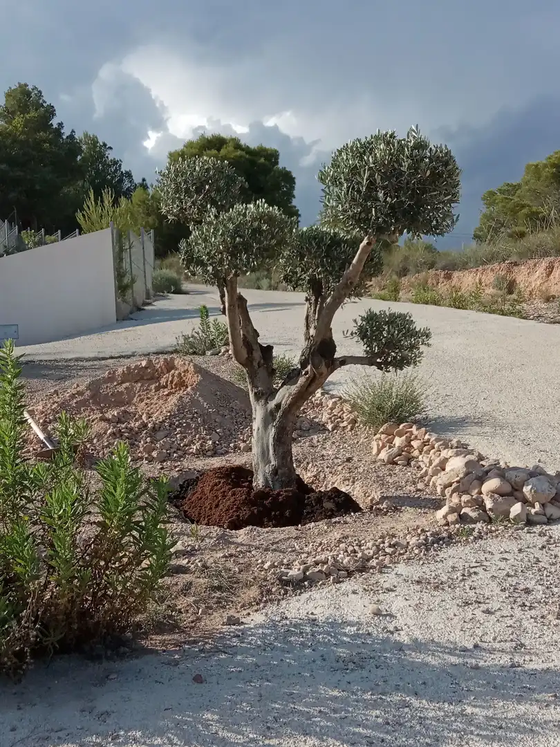 Casa con jardín en venta en Totana, imagen 7
