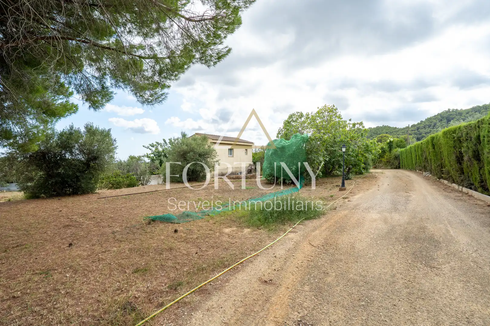 House with pool for sale in Carrer del Tià, imagen 10