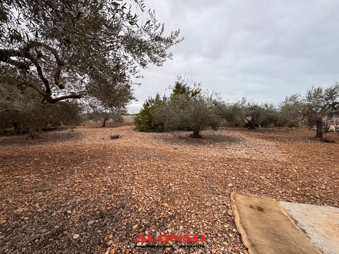 Houses for sale in Vinaròs  with Heating, Private garden and Terrace