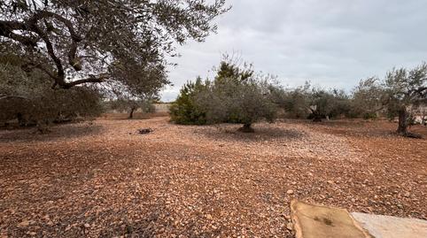 Photo 5 of House or chalet for sale in Centro Comercial - Capsades -  Hospital, Vinaròs