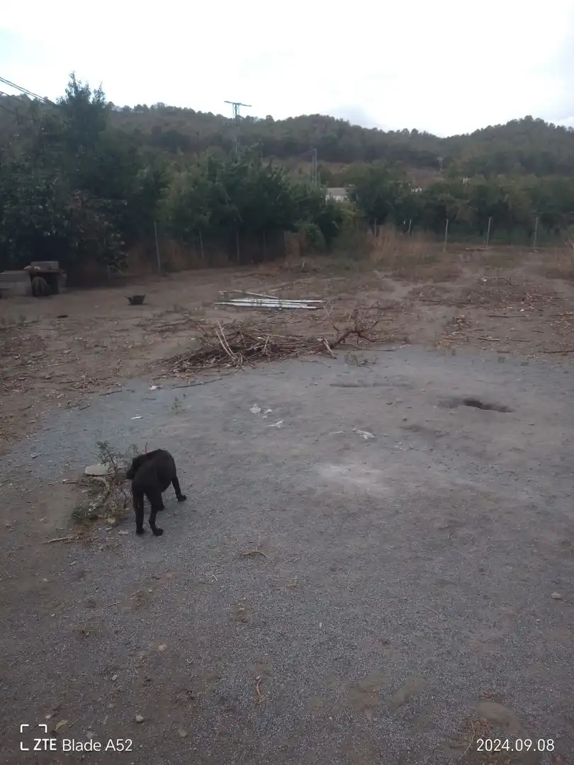 Terreni e lotti in vendita a Valle del Zalabí, imagen 3