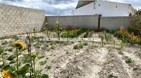 Foto 5 de Residencial en venta en Ctra. Moriles-aguilar de la Fra,, Aguilar de la Frontera, Córdoba