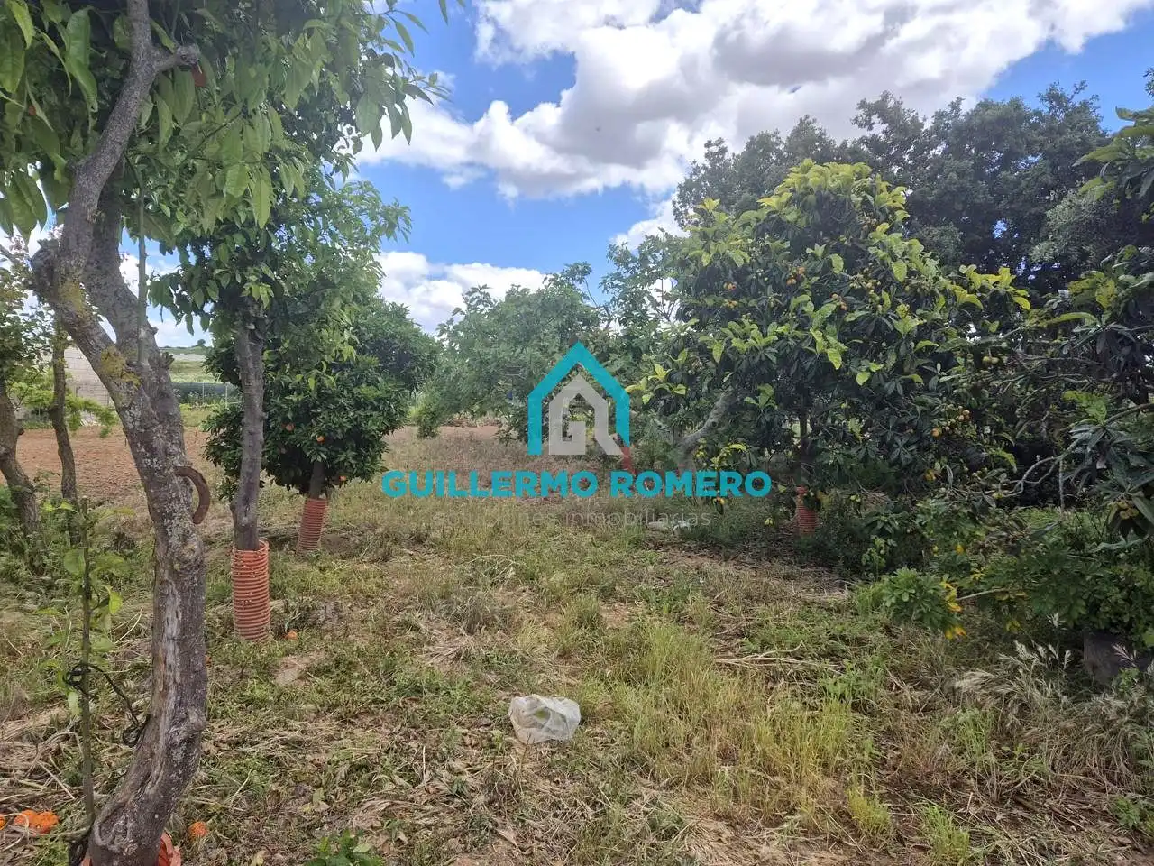 Finca rústica en venta en Coria del Río