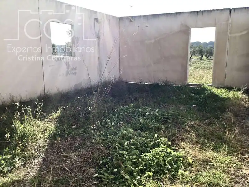 Finca rústica en venta en Almonte