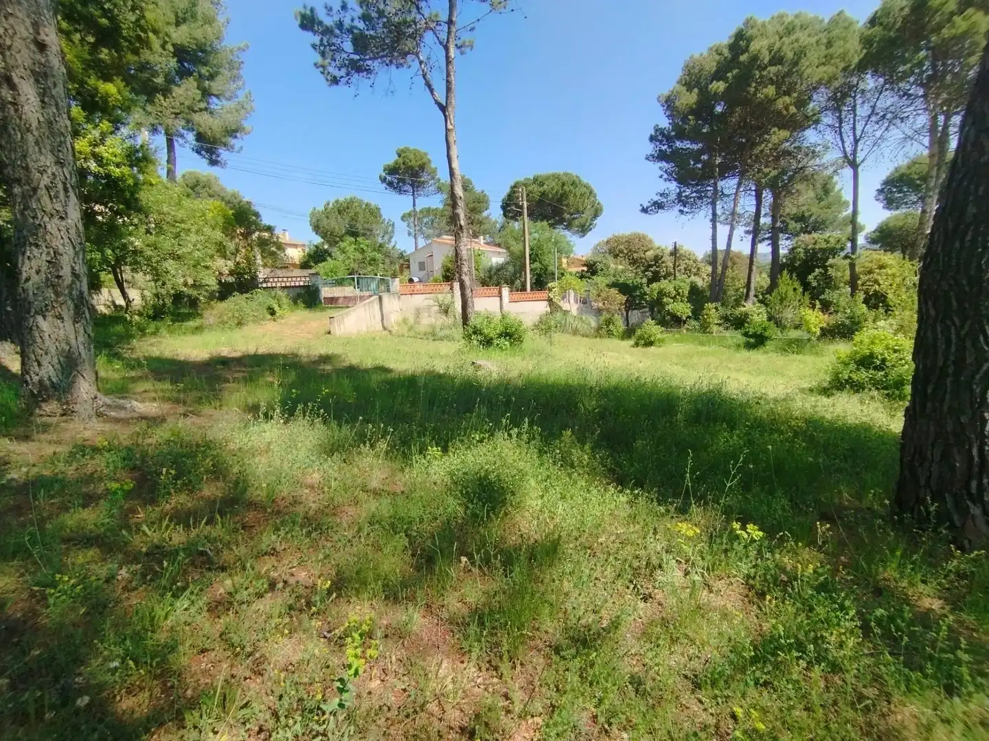 Residential land for sale in Calle COVA SIMANYA, imagen 2
