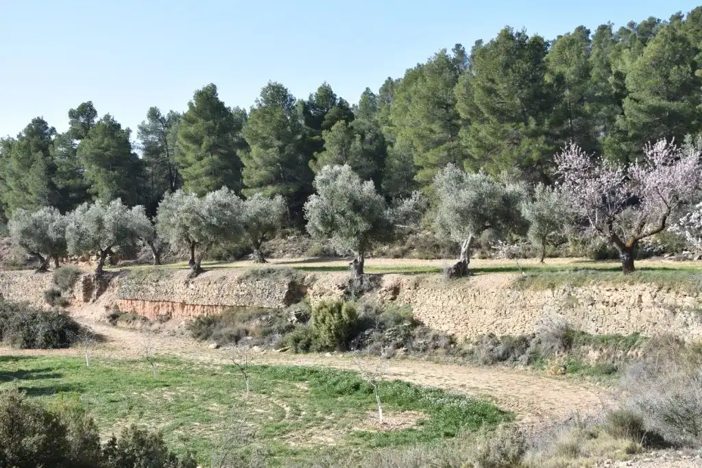 Country homes for sale in La Fresneda